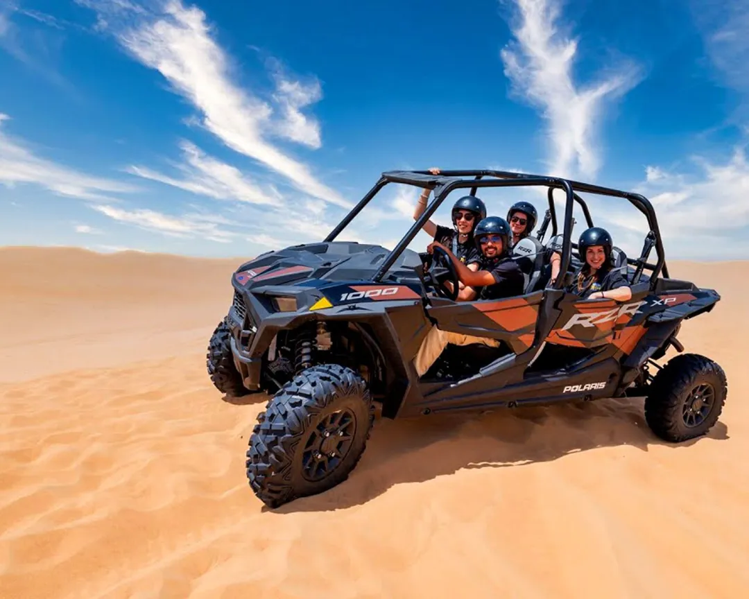 Polaris rzr buggy online