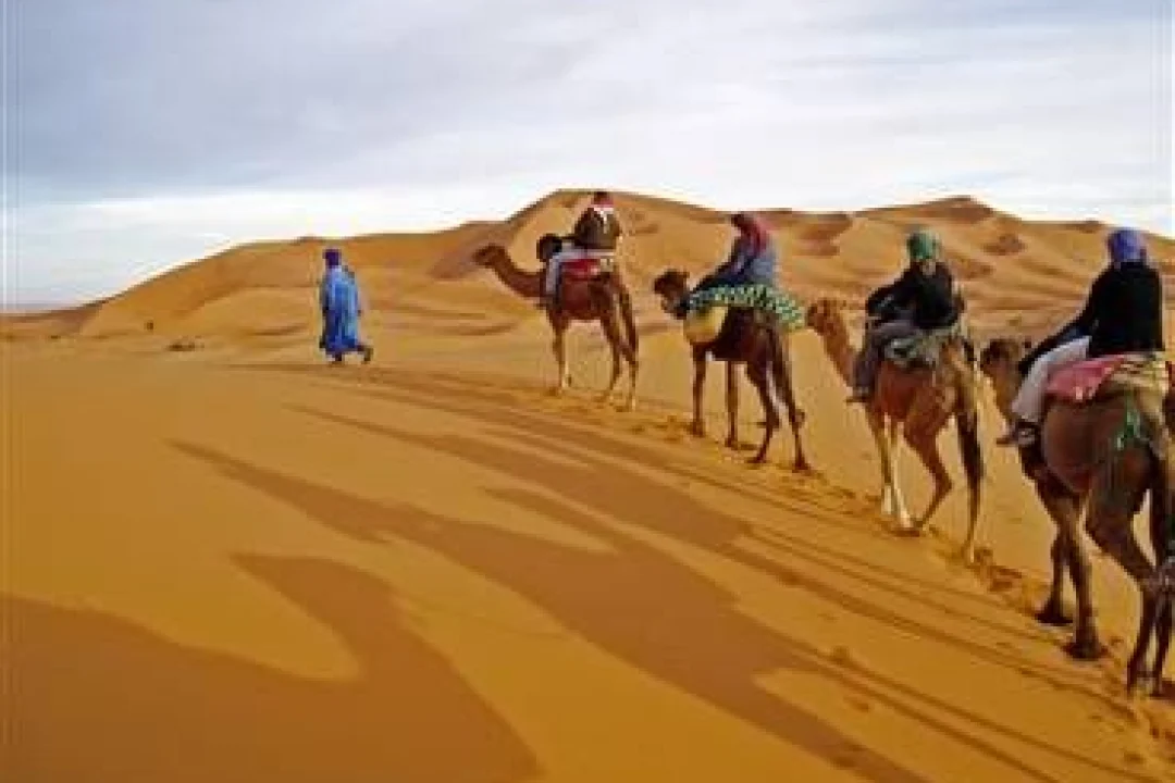 CAMEL CARAVAN WITH BREAKFAST (1)