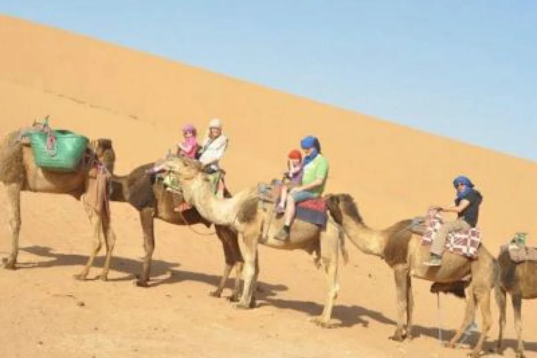 CAMEL CARAVAN WITH BREAKFAST (8)