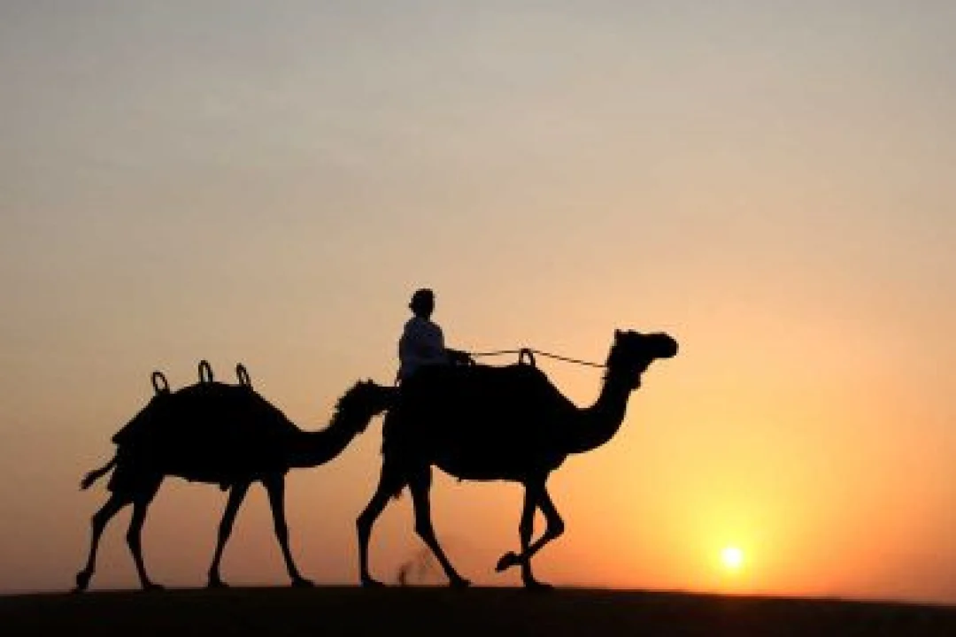 CAMEL CARAVAN WITH BREAKFAST (9)