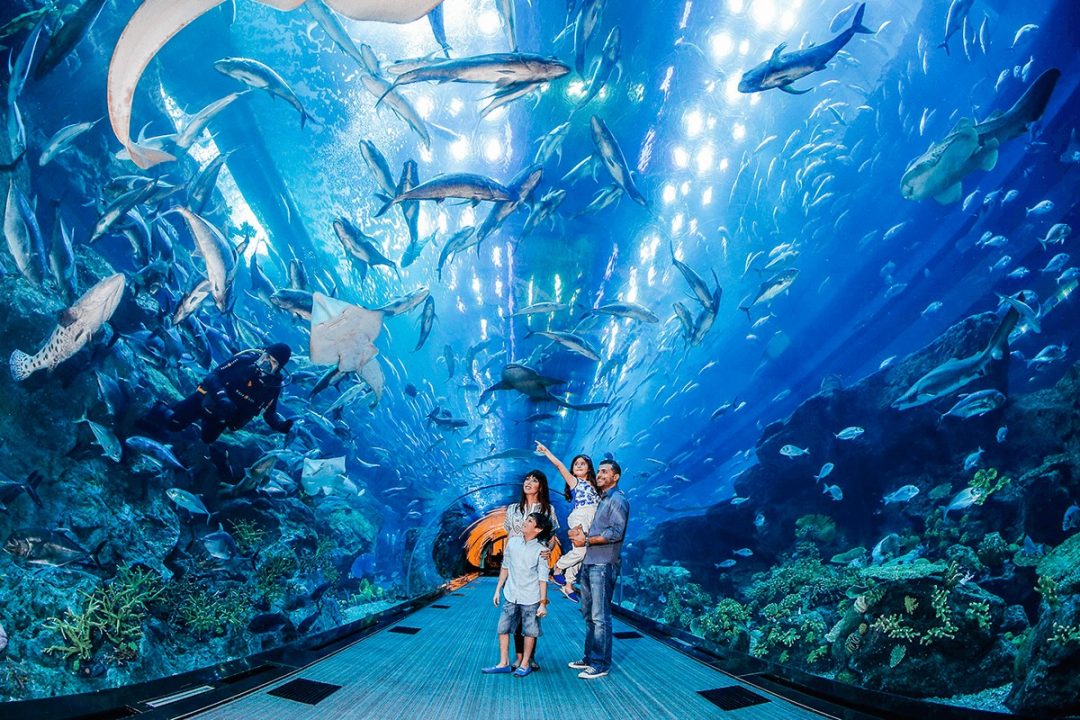 DUBAI AQUARIUM & UNDERWATER ZOO (1)