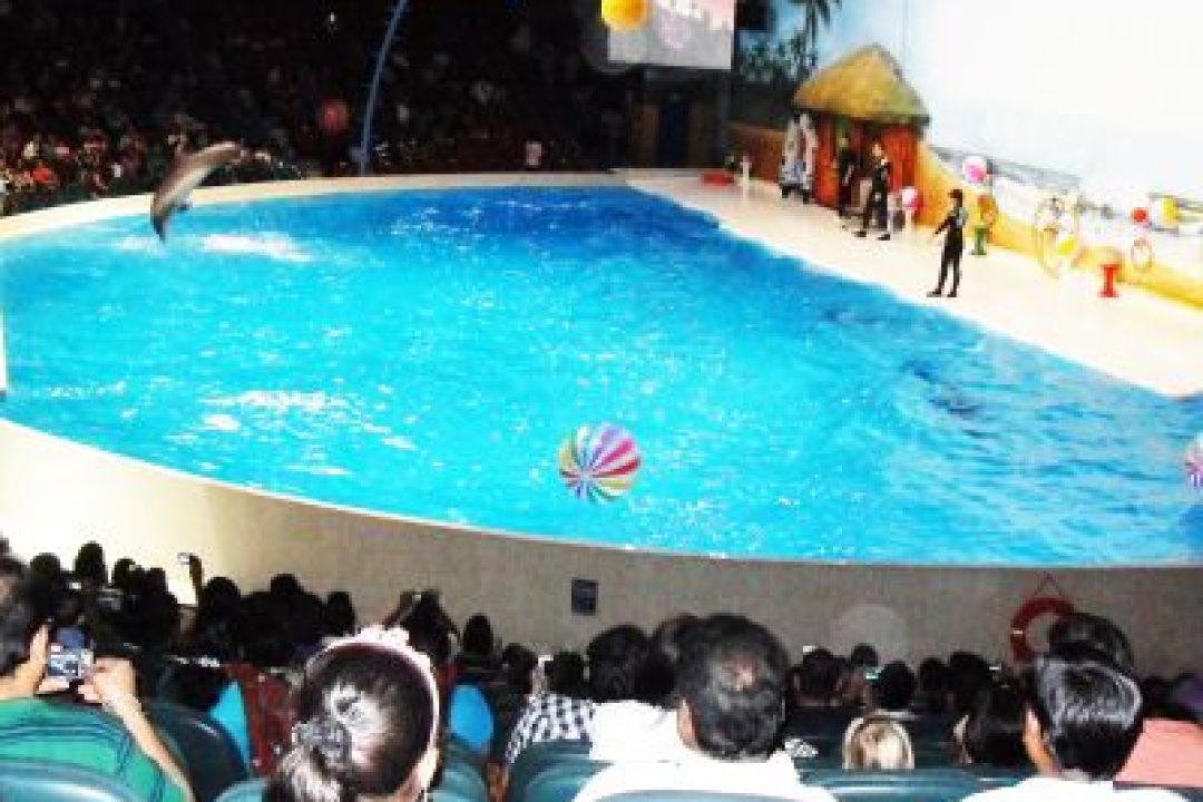 DUBAI DOLPHINARIUM (2)