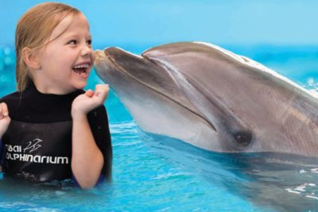 DUBAI DOLPHINARIUM (5)