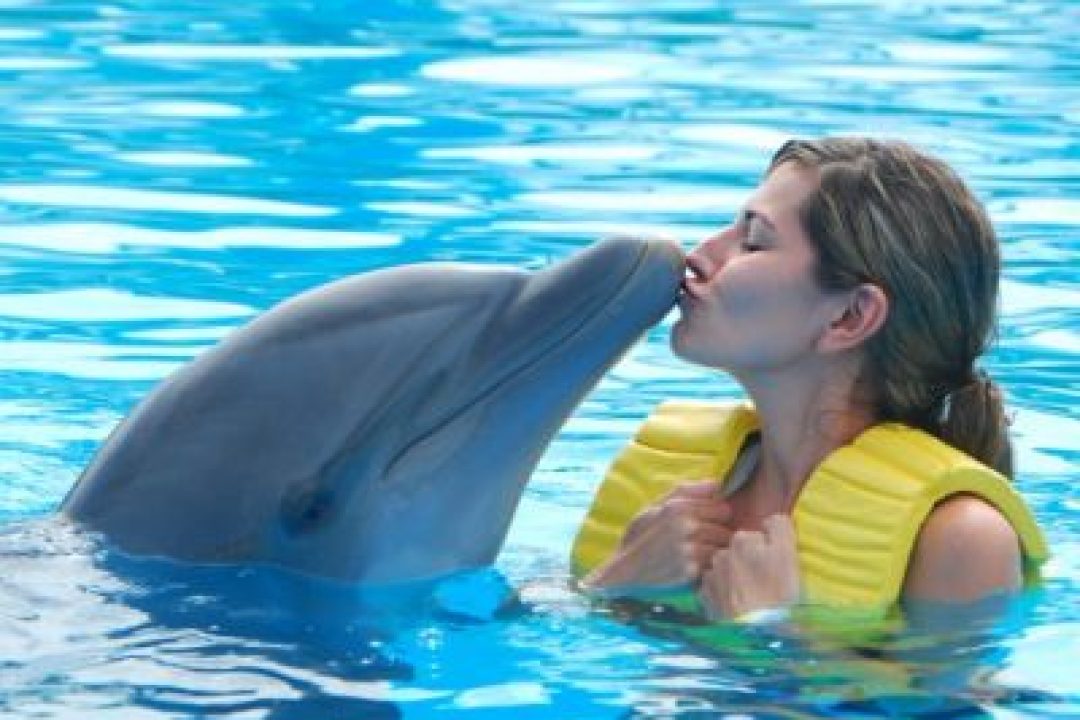 DUBAI DOLPHINARIUM (6)