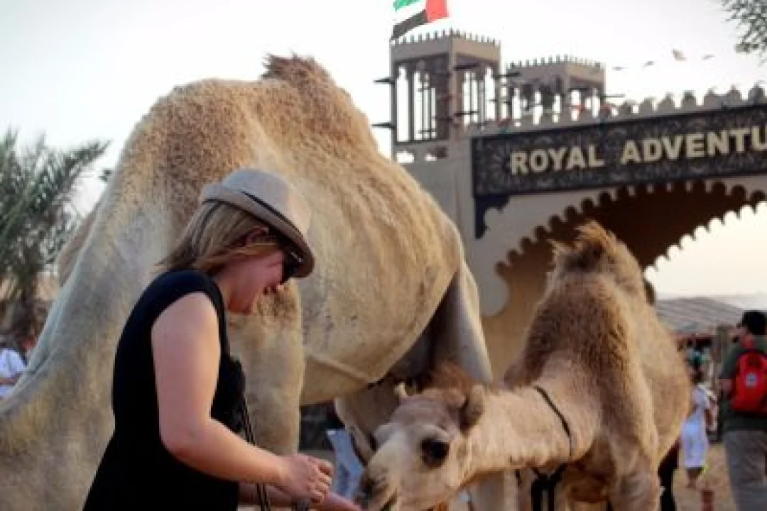 EVENING DESERT SAFARI (2)