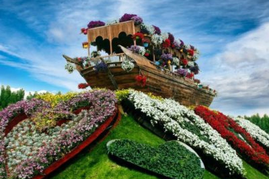 MIRACLE GARDEN (2)