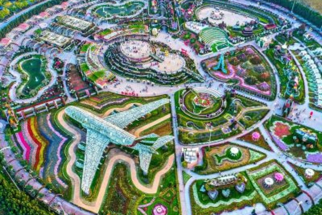 MIRACLE GARDEN (3)