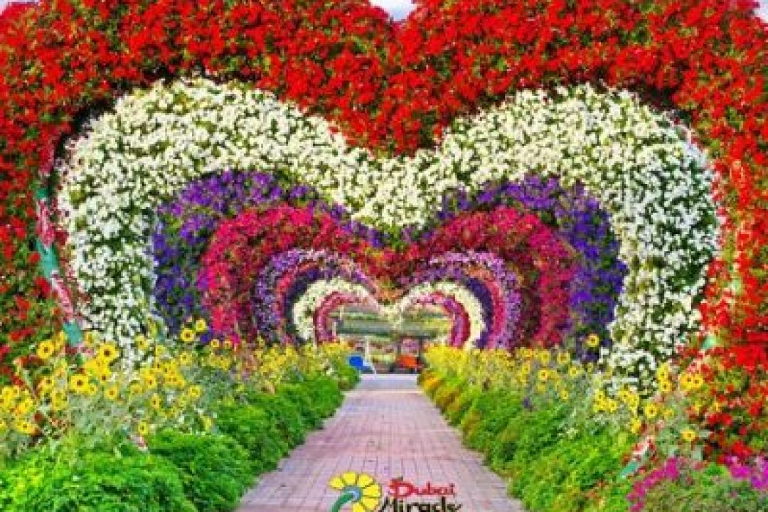 MIRACLE GARDEN (4)