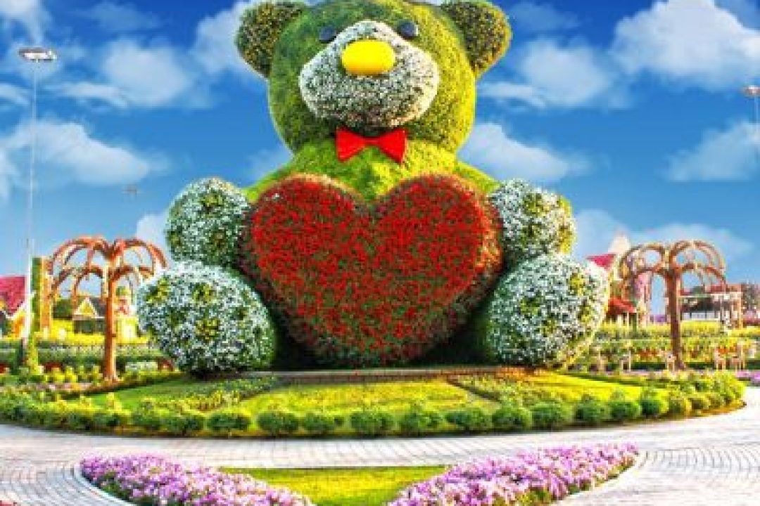 MIRACLE GARDEN (5)