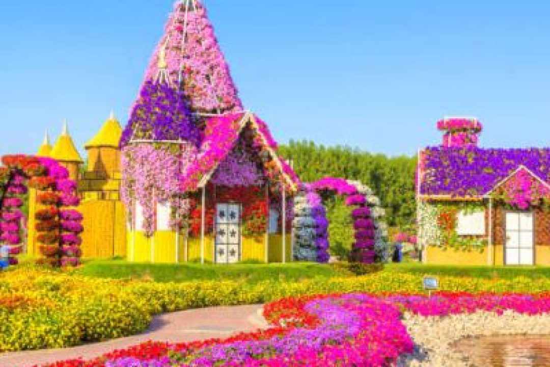 MIRACLE GARDEN (6)