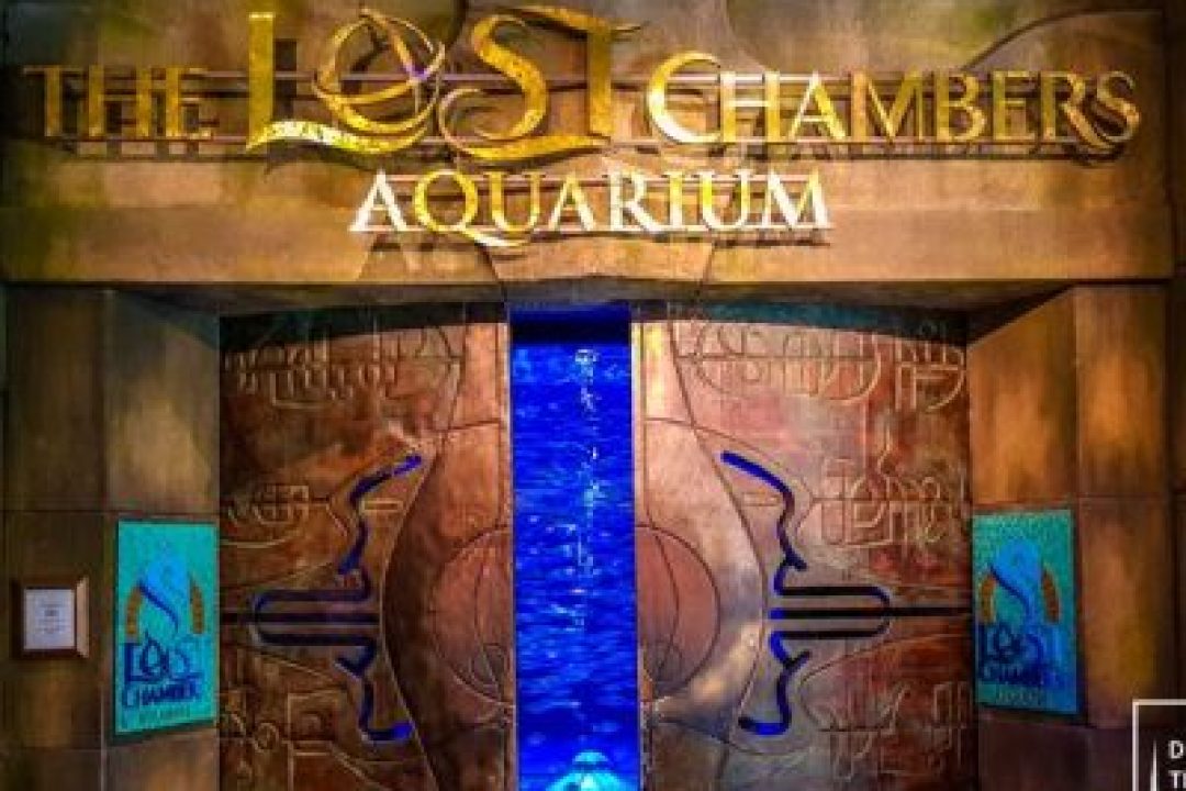 The Lost Chambers Aquarium (4)